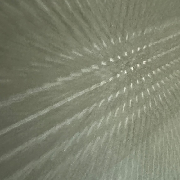 J. Crew Woman’s Crisp White Straight Jeans - Picture 7 of 8